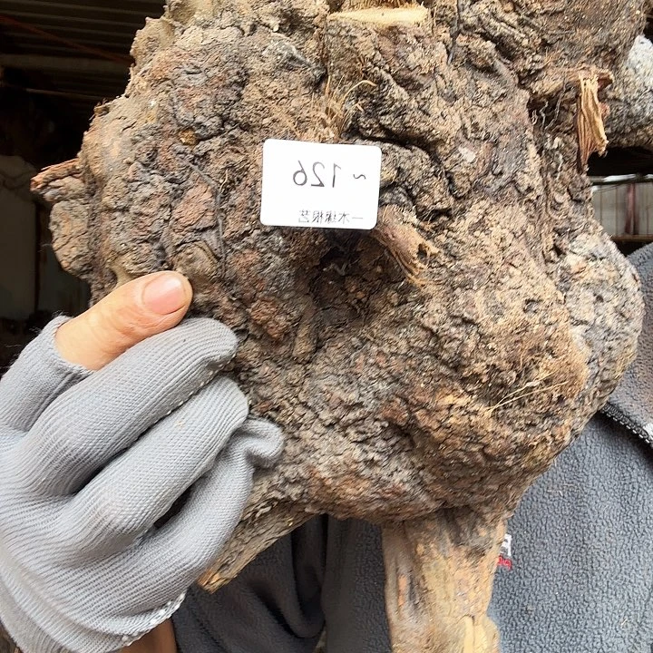 杨***@无花朵00000000126