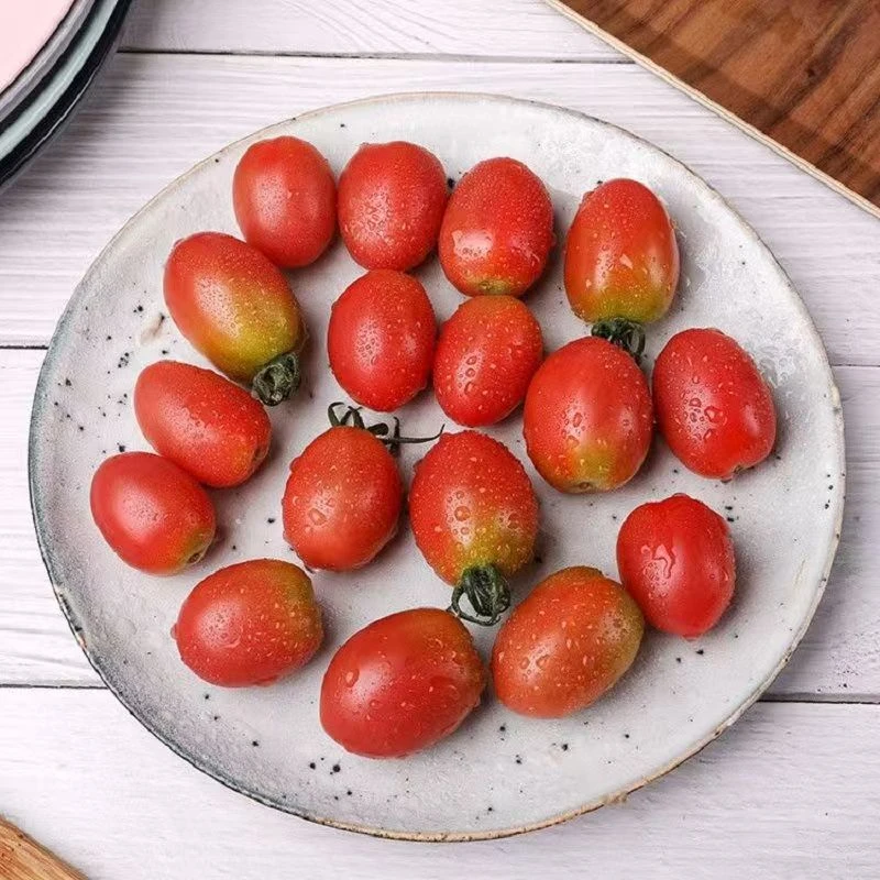 新鲜圣女果500g千禧圣女果山东省山东省寿光