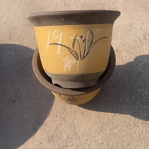 中国宜兴紫砂花，