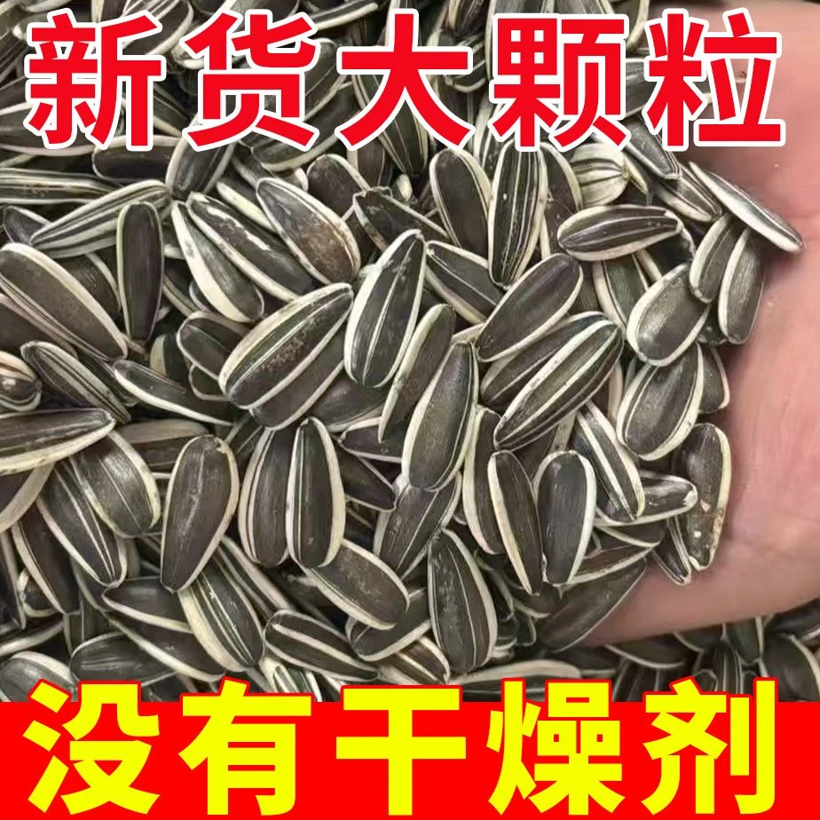 （买一斤送一斤）现炒原味瓜子无干燥剂葵花籽葵瓜子熟瓜子大颗粒