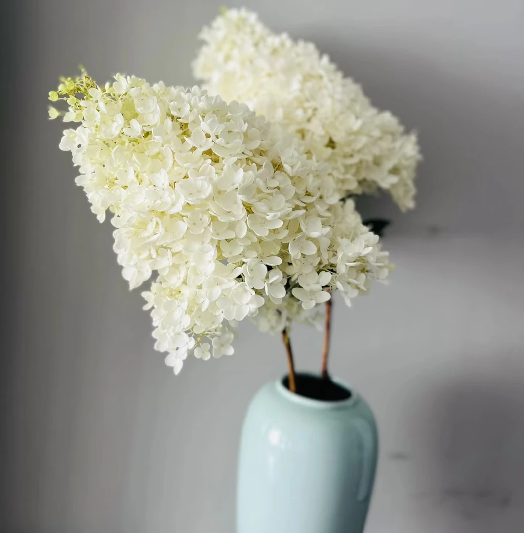 【宝塔绣球AK】宝塔绣球1枝 | 全场任意满两单升级快递