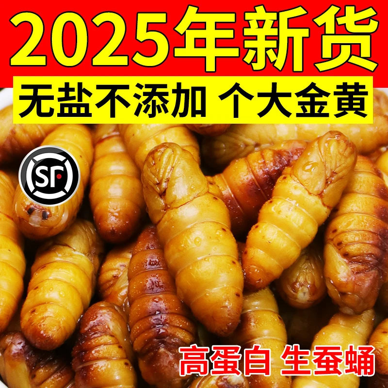 蚕蛹新鲜金丝小蚕蛹冷冻商用烧烤宠物钓鱼饲料农家商桑蚕顺丰