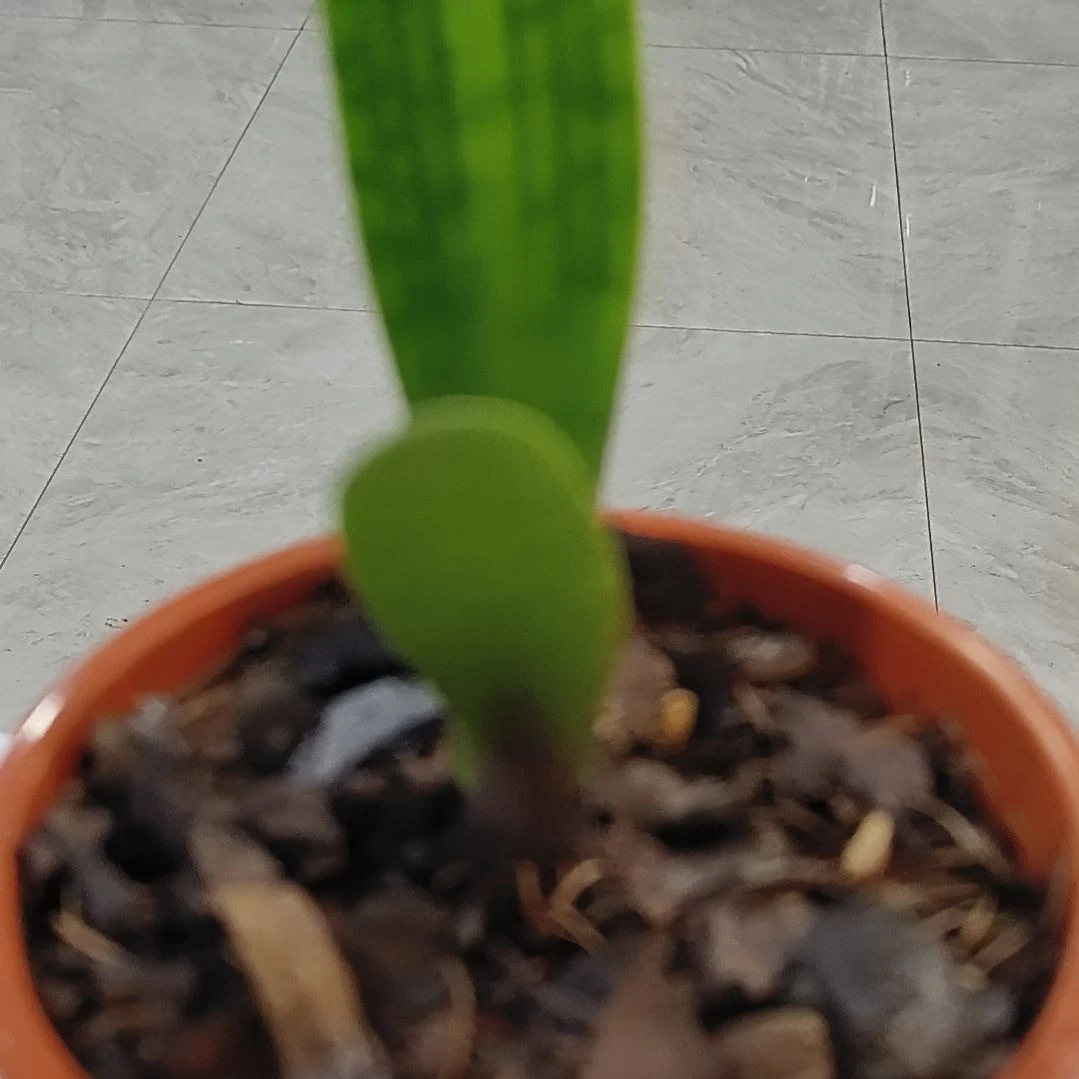 完全开放cgjjjkkkk