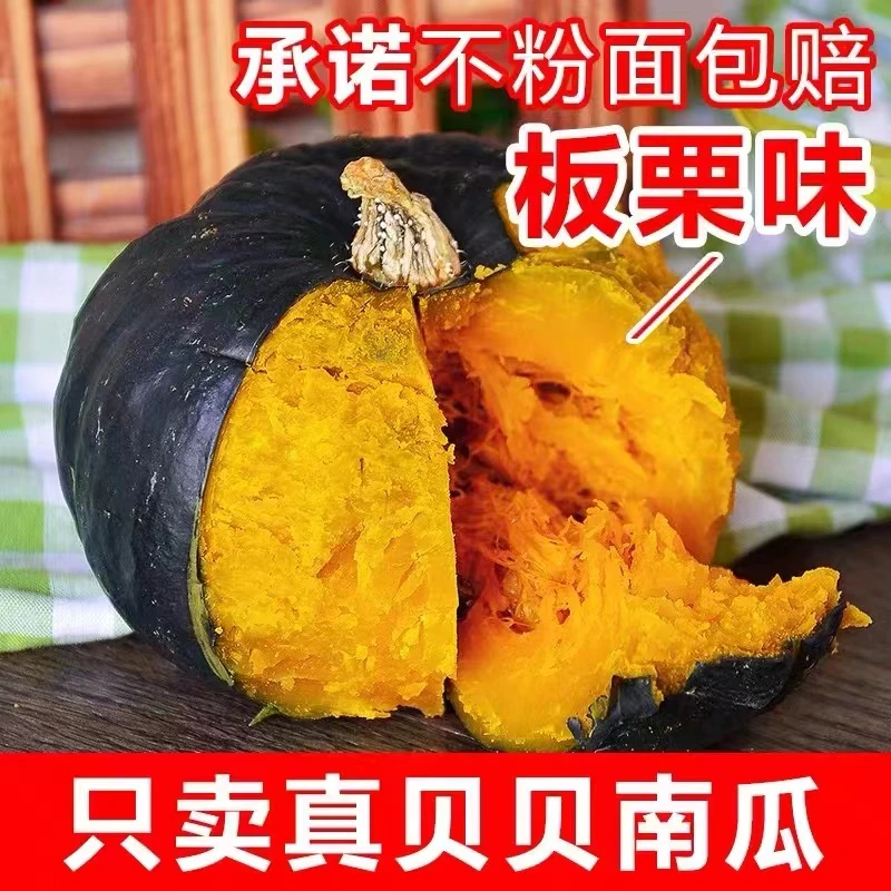 【惠和一号】严选贝贝南瓜 山东贝贝小南瓜 4.5斤不粉包赔