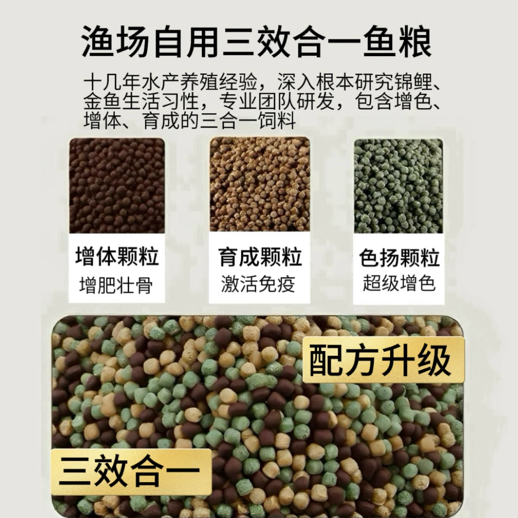 渔场自用低水温锦鲤鱼粮