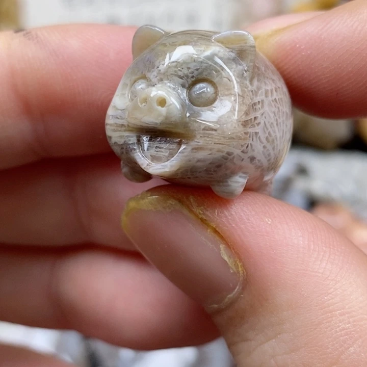 颈饰未镶嵌硅化珊瑚（珊瑚玉）小