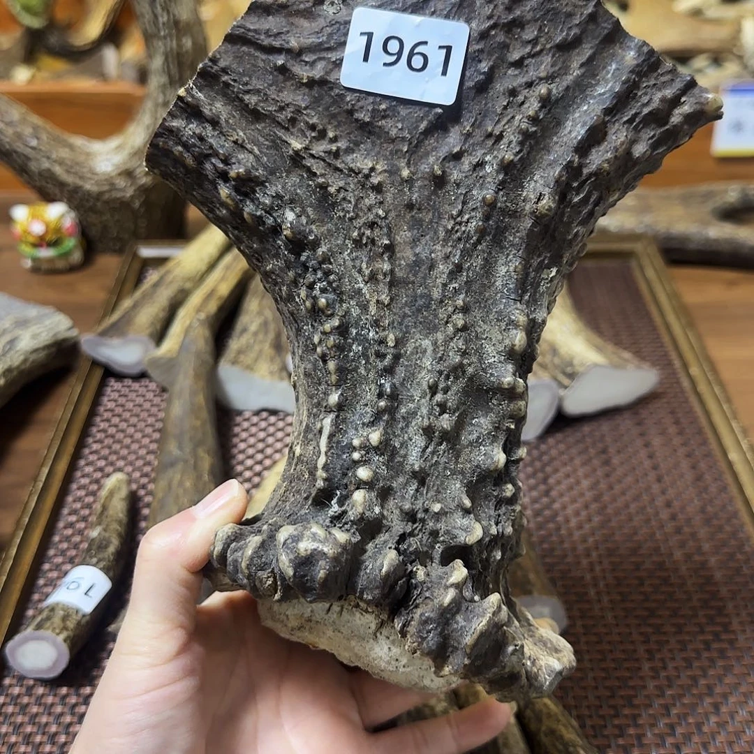 手串/手链鹿骨1961弹弓