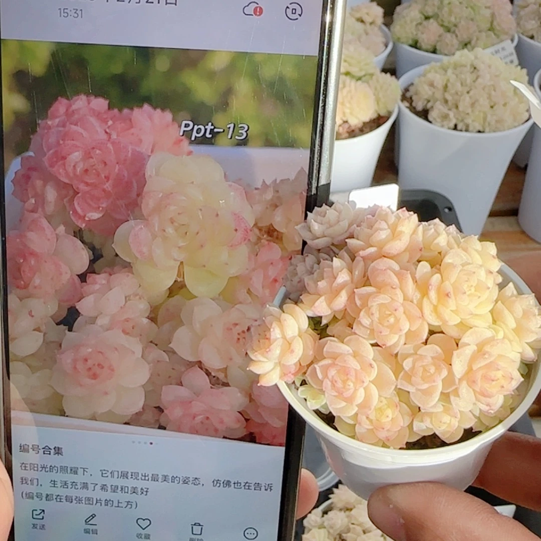 1222-87（ppt-13）优选