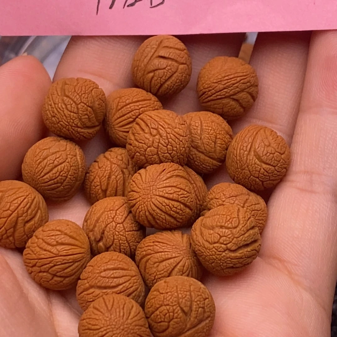 秦岭山脉龙纹桃核单圈