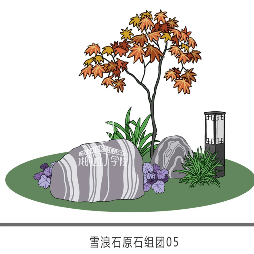 雪浪石花境花园造景植物搭配组合好养护