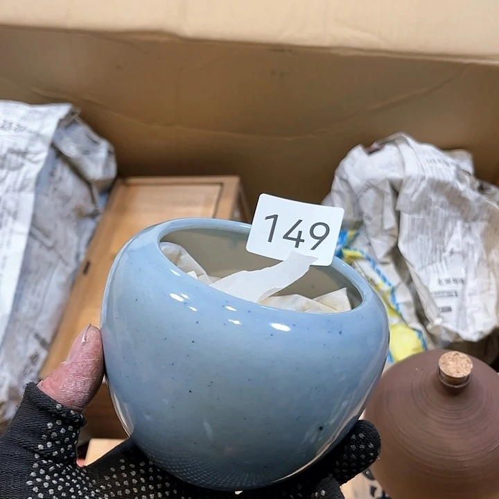 茶宠我们都在努力着改变着