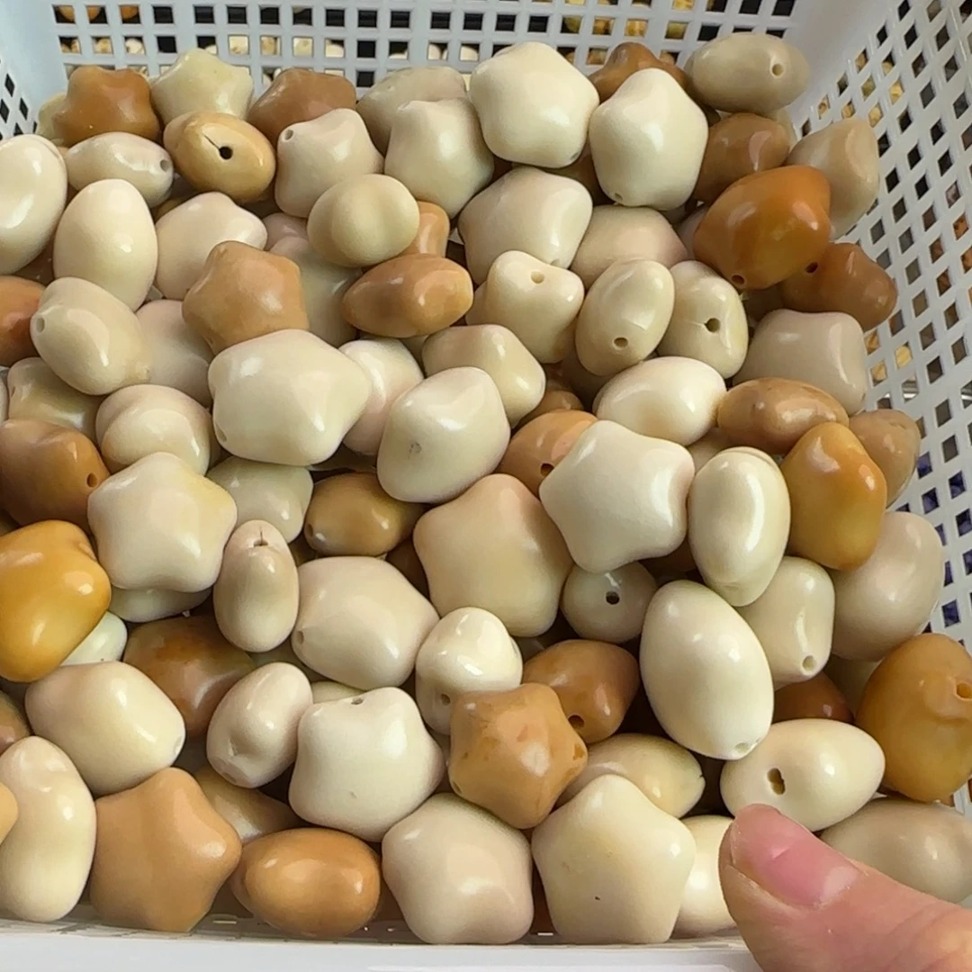 吊坠菩提根/象牙果微瑕牙果星星5颗（2单宠1颗）