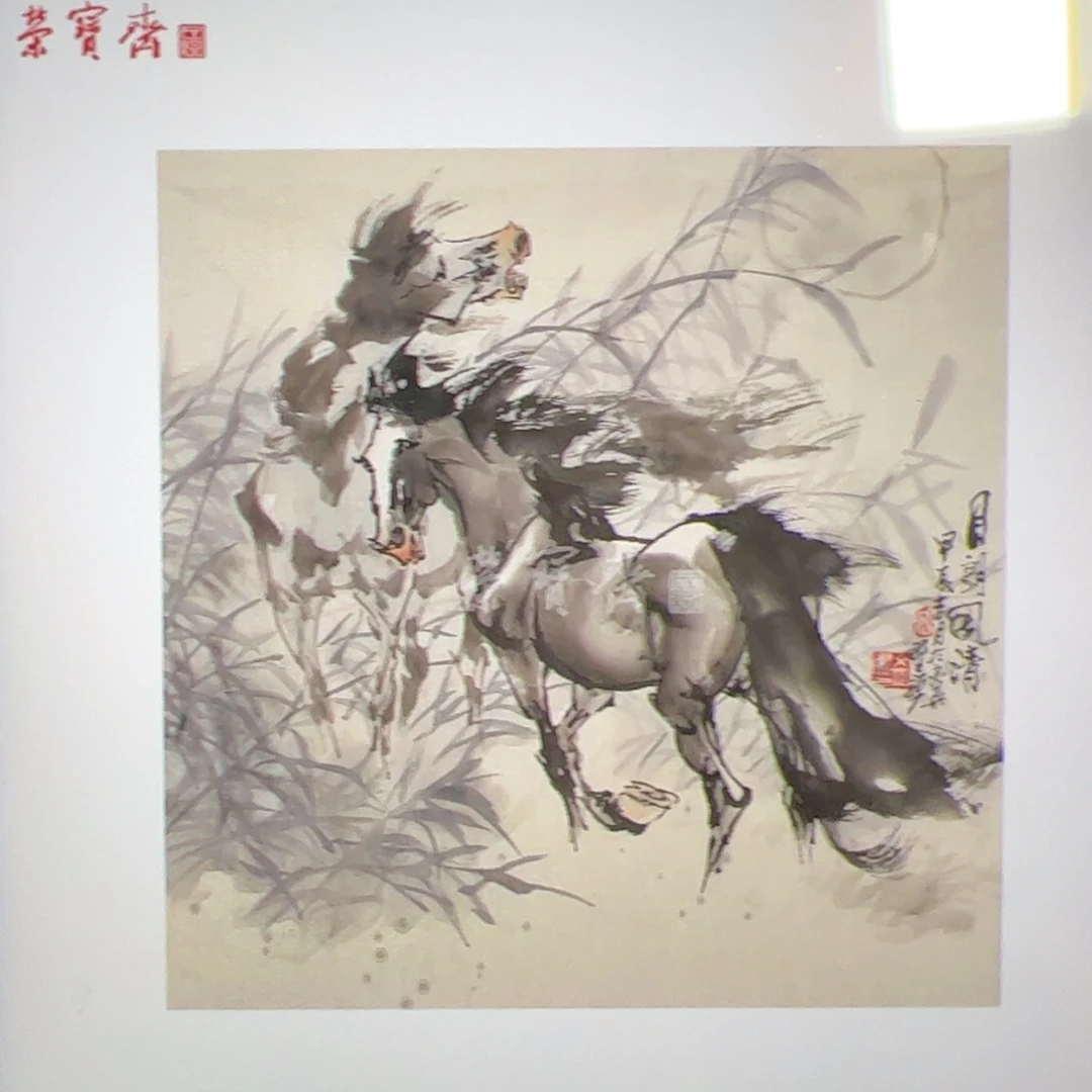 书法芬**水（g89797）月朗 书画