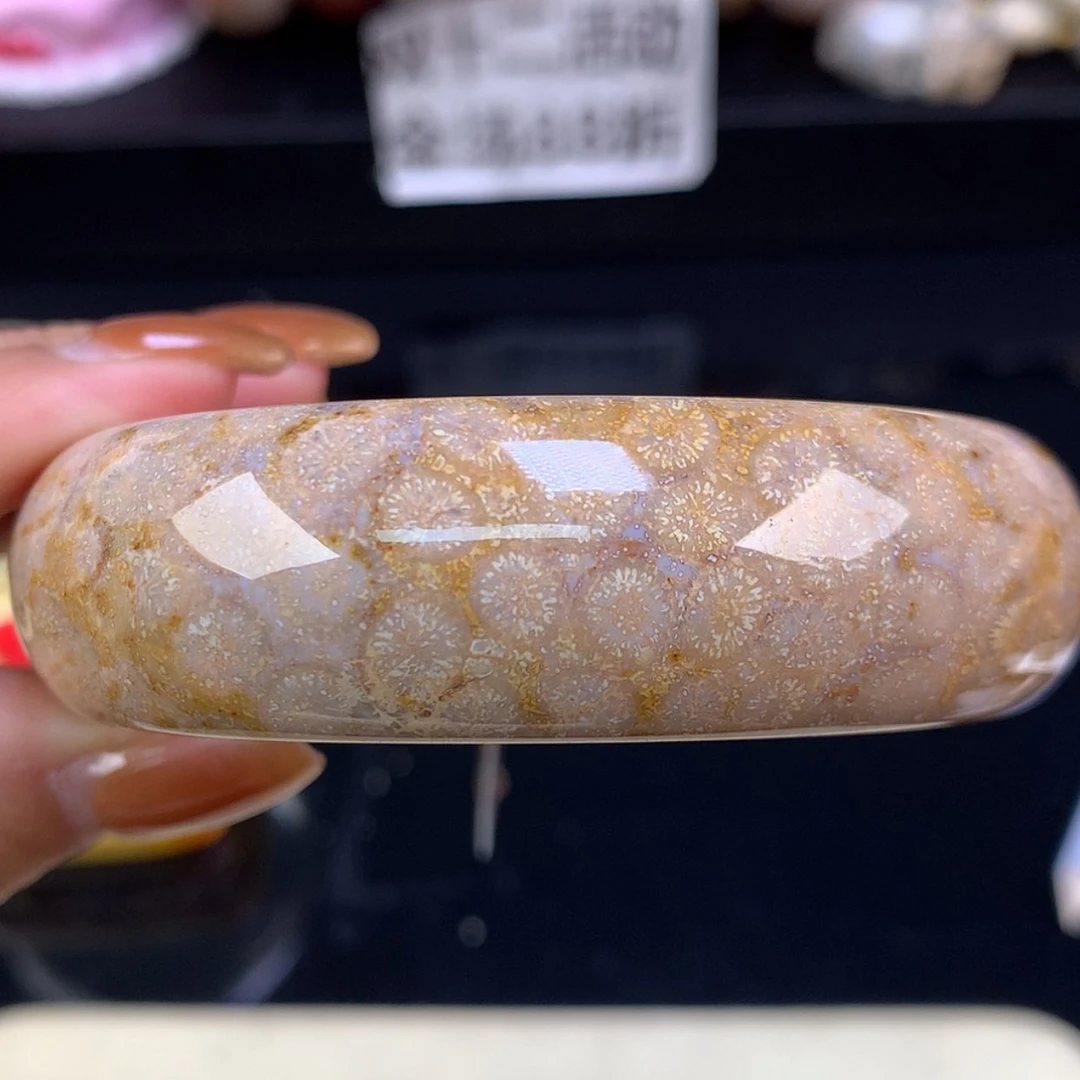 【闪购商品】颈饰未镶嵌硅化珊瑚（珊瑚玉）福利手镯58.5（47号）