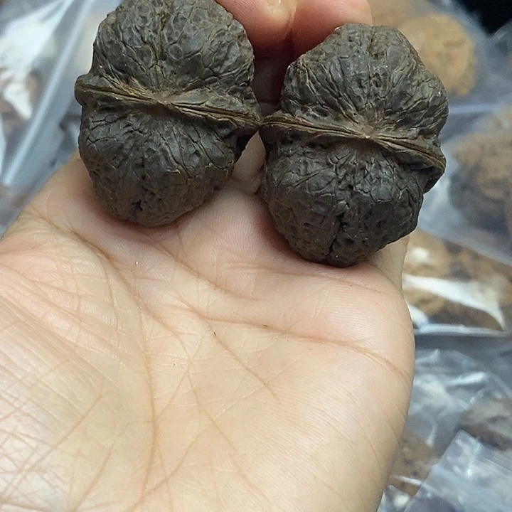 木质类云南铁核桃+27