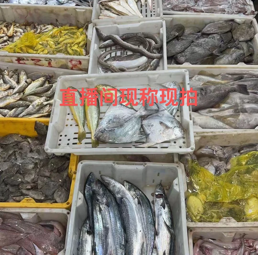 宁波象山鲜源海鲜现称现拍自由搭配