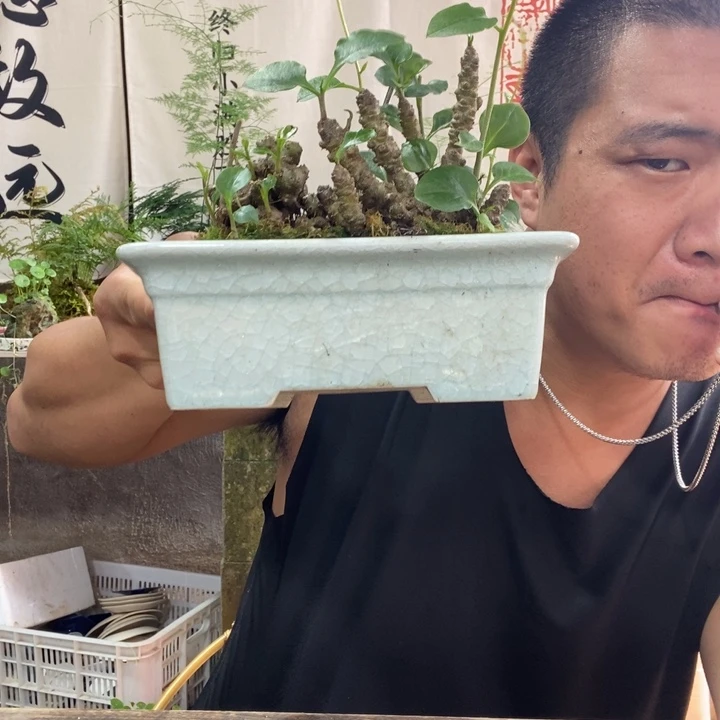 婷***子无花朵退款拉黑拉黑82