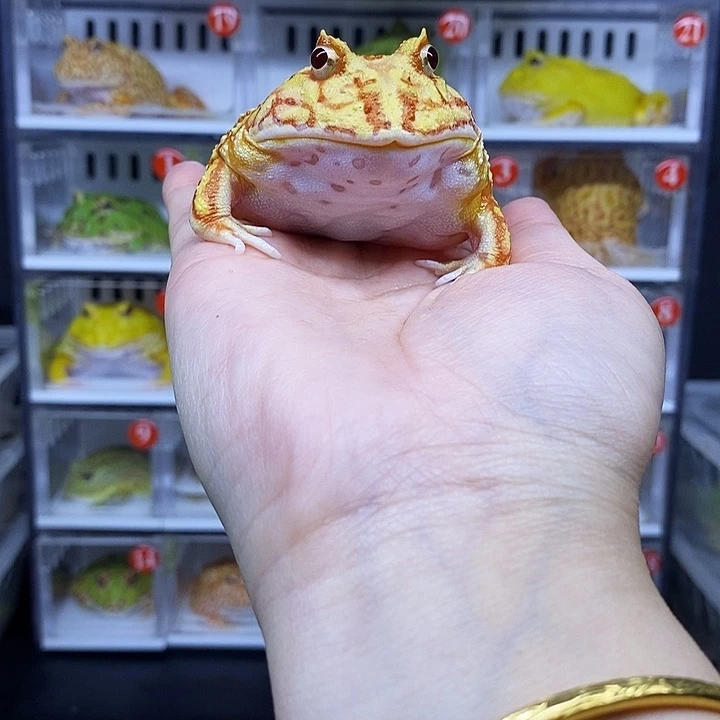 特价秒杀一切顺利