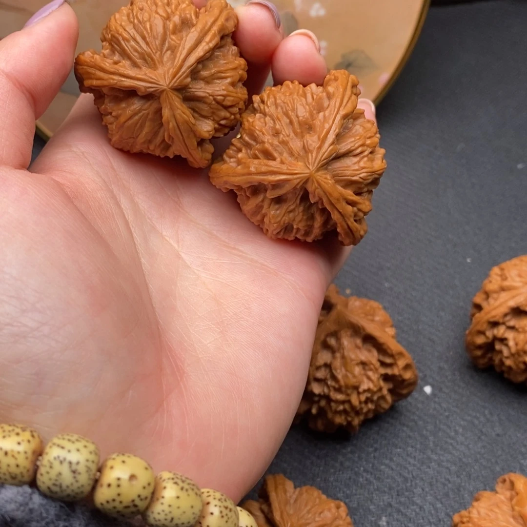 陌*黍白狮子11111111111