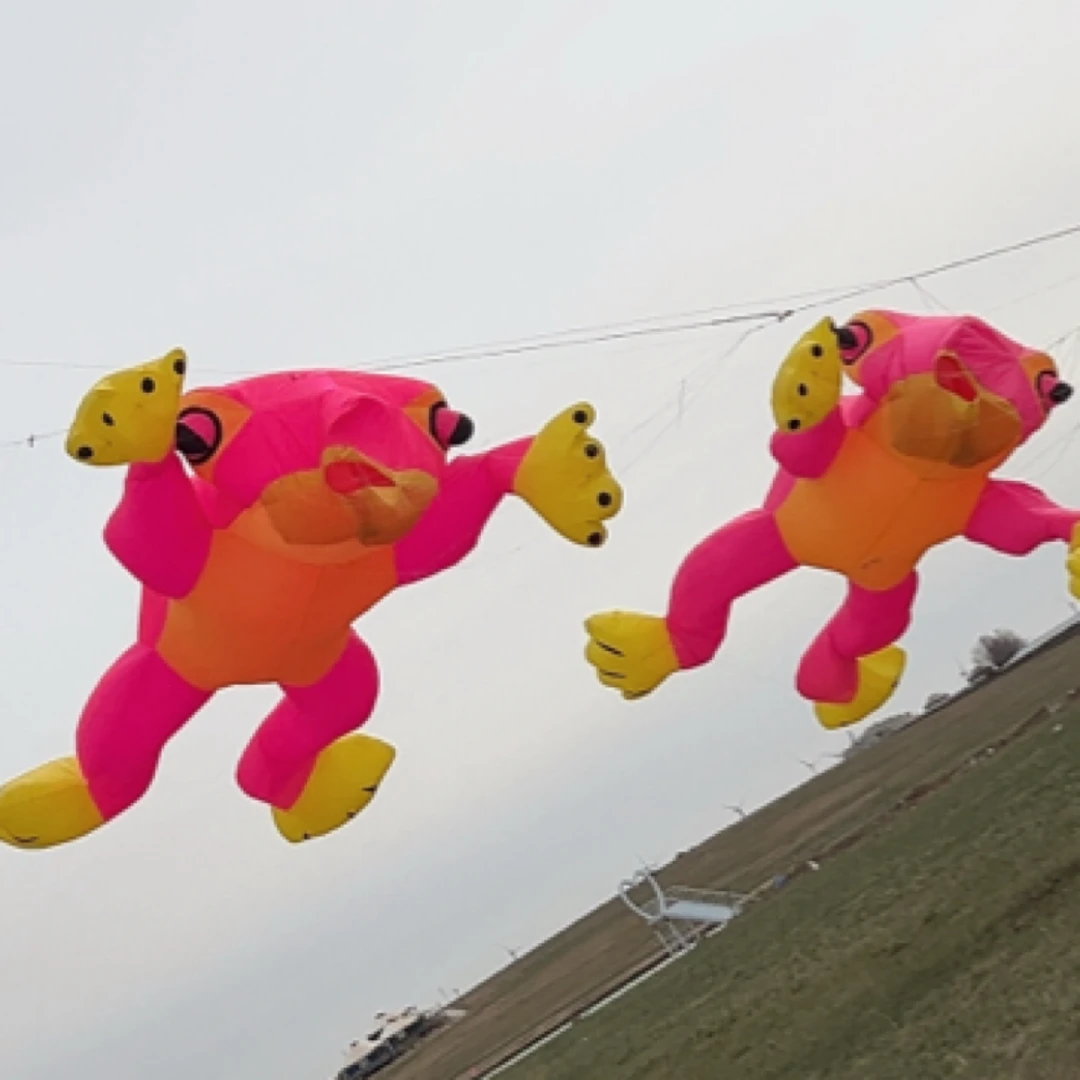 青蛙风筝5米多色可选