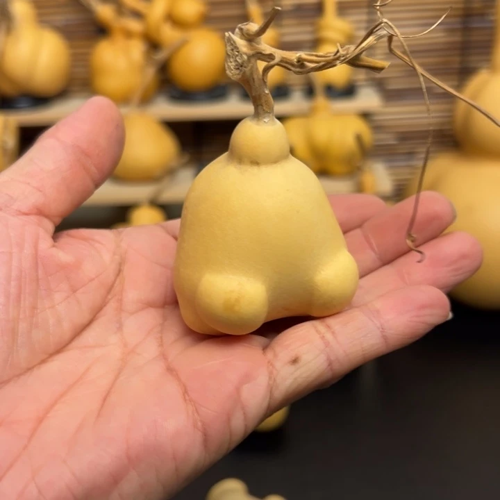 沙*金125666669899999