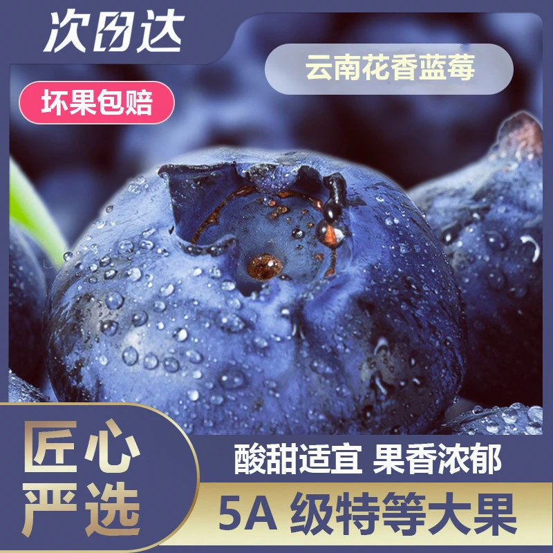 【明日达】qz花香蓝莓云南澄江抚仙湖小方盒蓝莓4/8盒装18mm-24mm新鲜采摘云南省