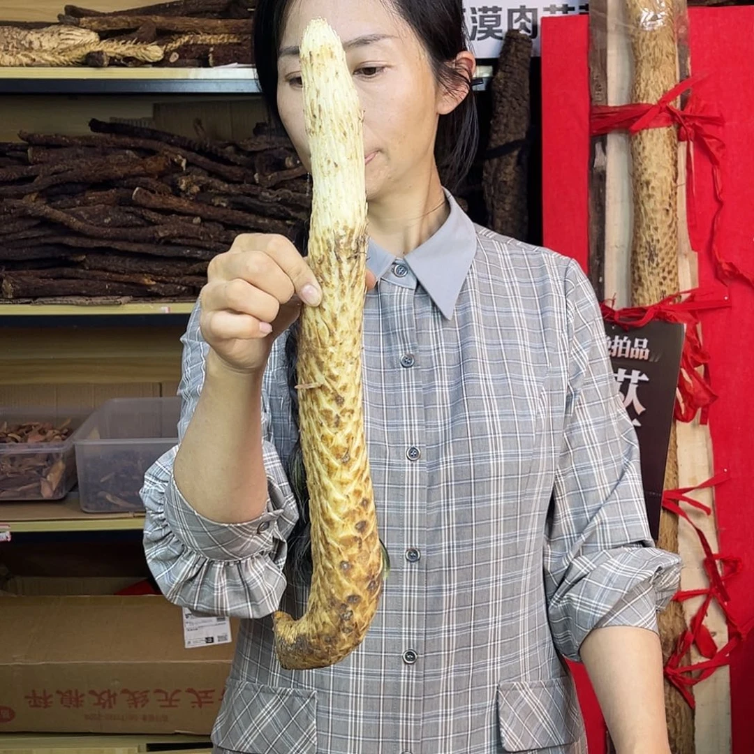 中国大陆1.2斤43厘米