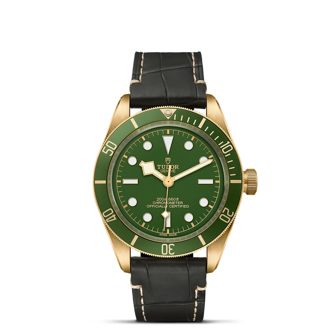 未使用 TUDOR/帝舵 碧湾1958型18K/79018V-0001/39mm男士金表
