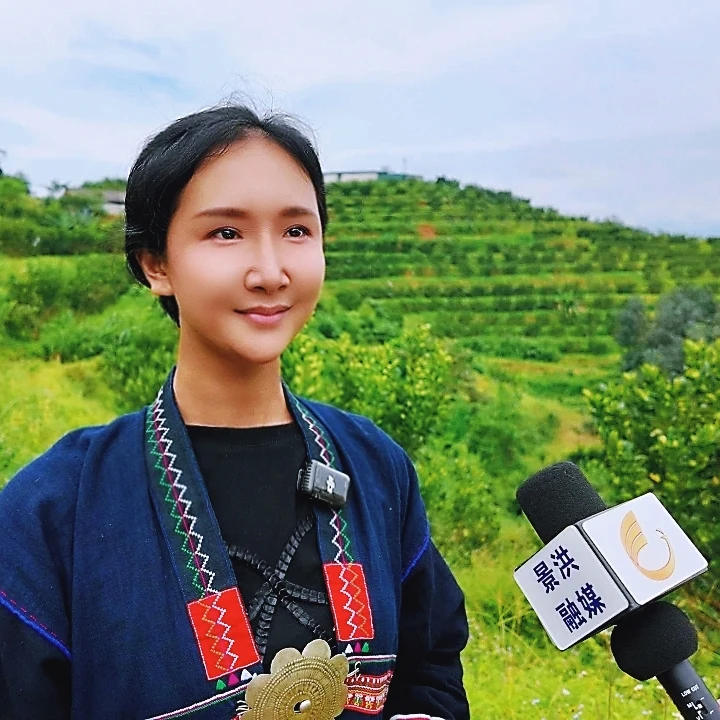 【2粒划算】西双版纳傣柚蜜柚产地直销香甜爽口