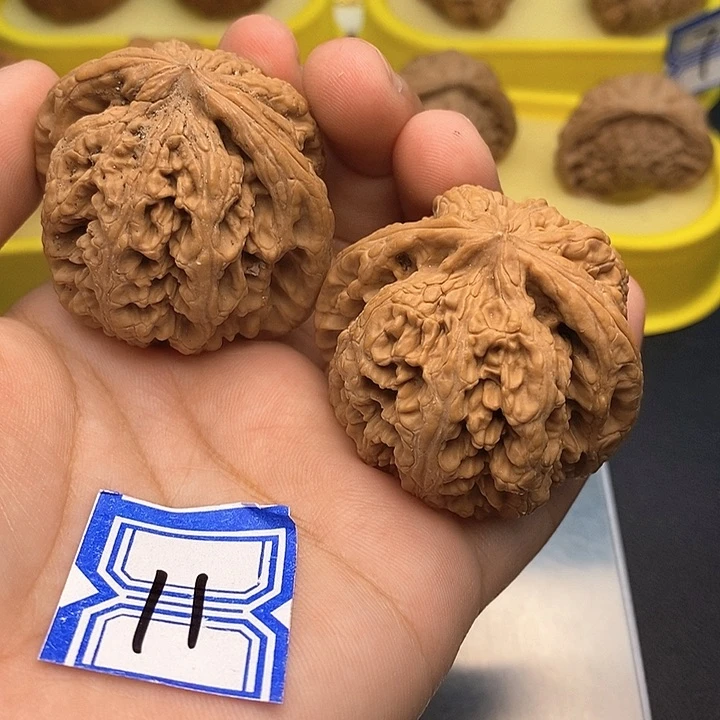 文玩核桃把件43粗筋