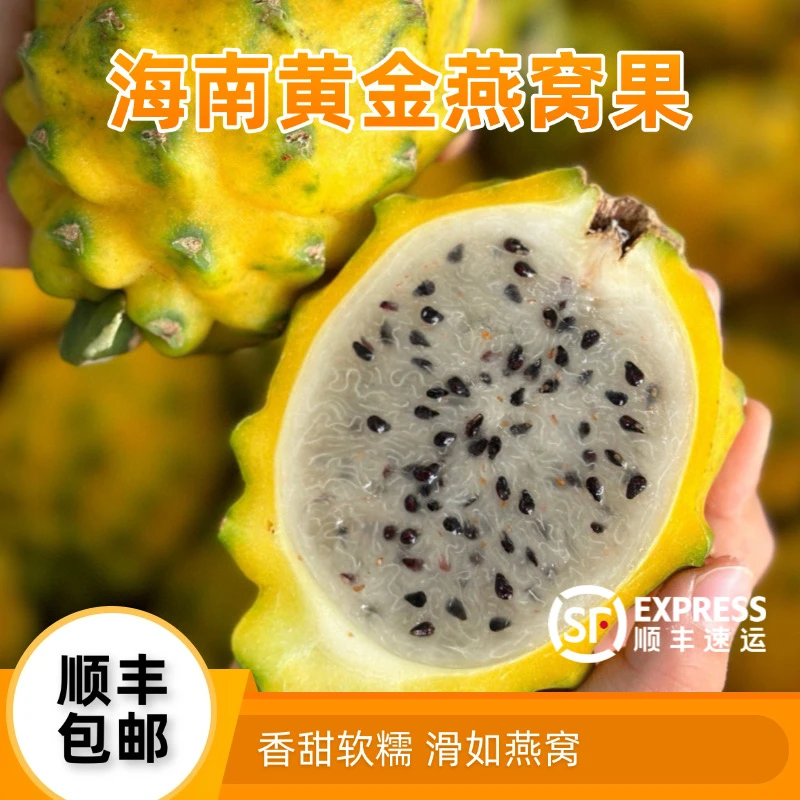 海南黄金燕窝果麒麟果稀有高端水果