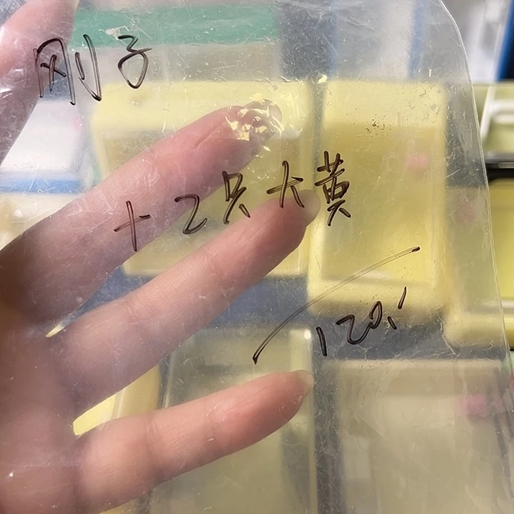 刚***子蟋蟀哈哈哈哈哈哈哈哈哈哈哈哈
