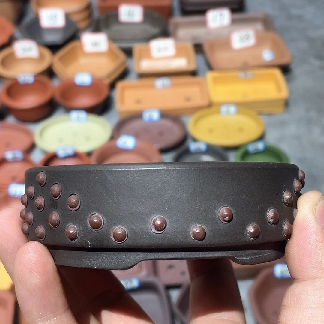 紫砂小盆9*2cmmmmm