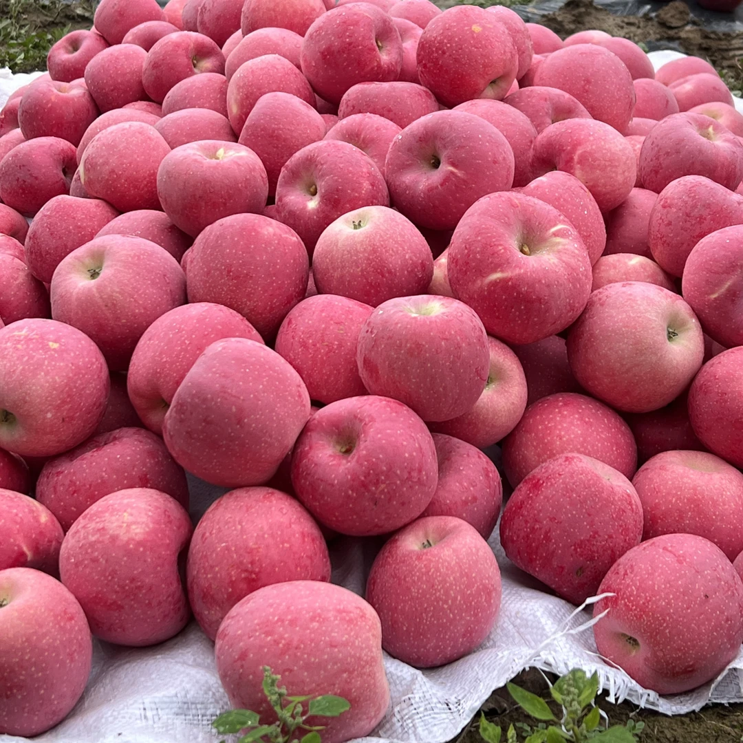 一箱24颗14斤左右现摘现发