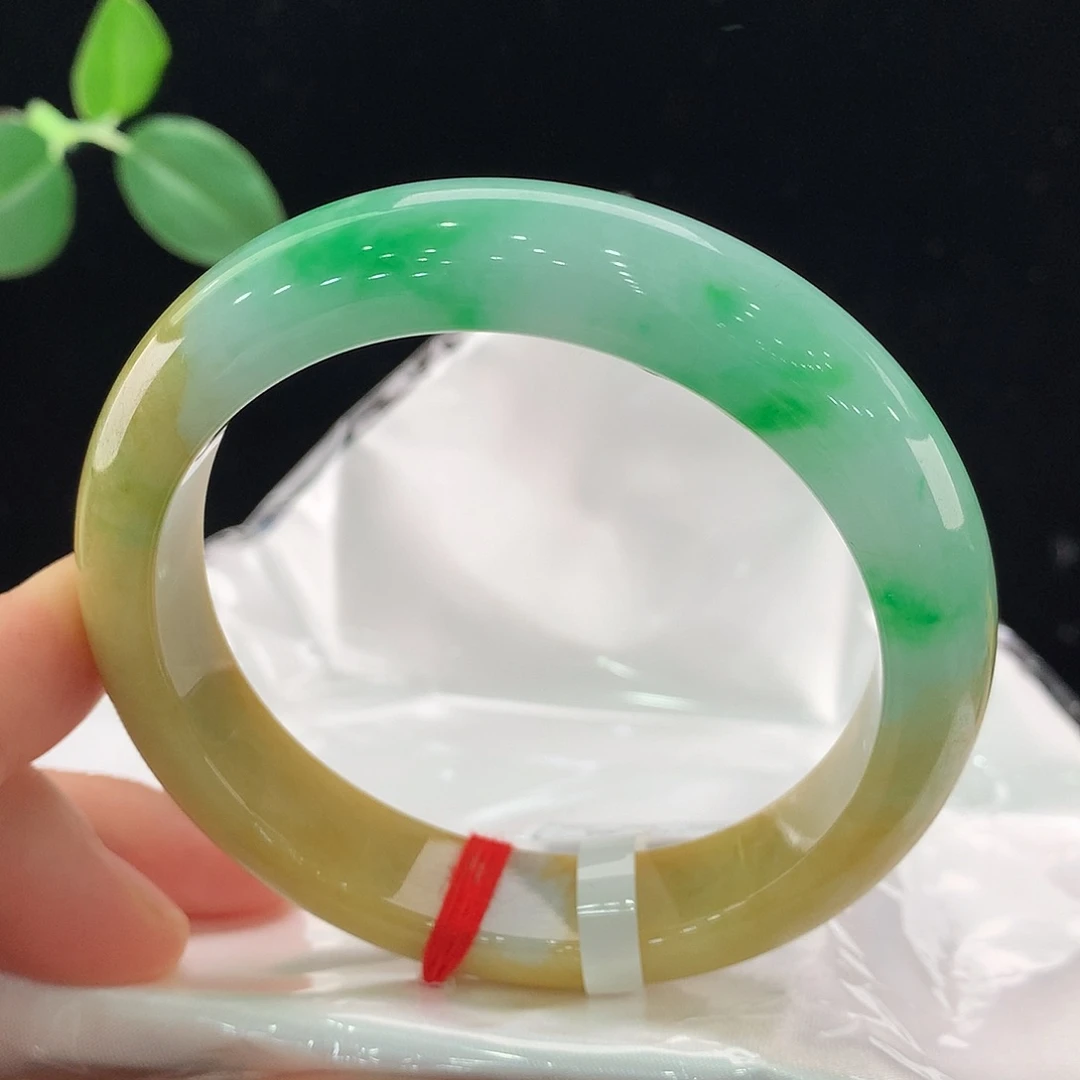 未镶嵌手镯翡翠2091