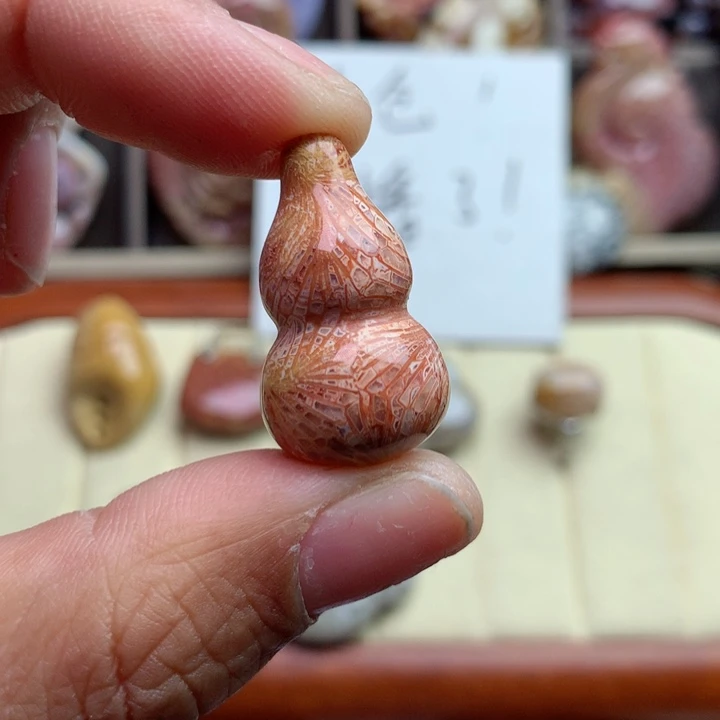 硅化珊瑚（珊瑚玉）颈饰未镶嵌