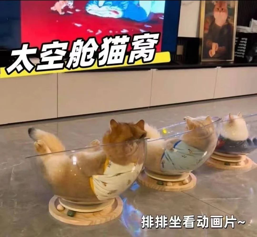 太空舱猫窝四季通用夏季可当猫玩具的半封闭亚克力暖窝