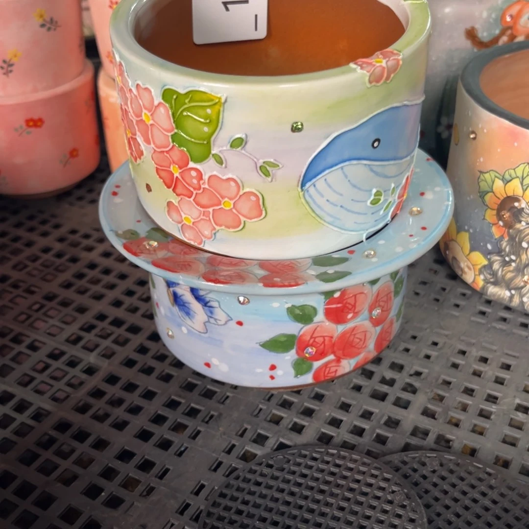 芒****11多肉花盆   2个