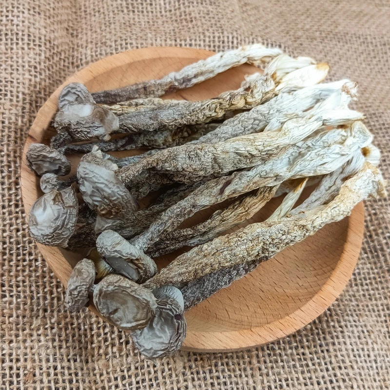 高山鹿茸菇250g 新货无硫无熏干货可凉拌炒肉煲汤