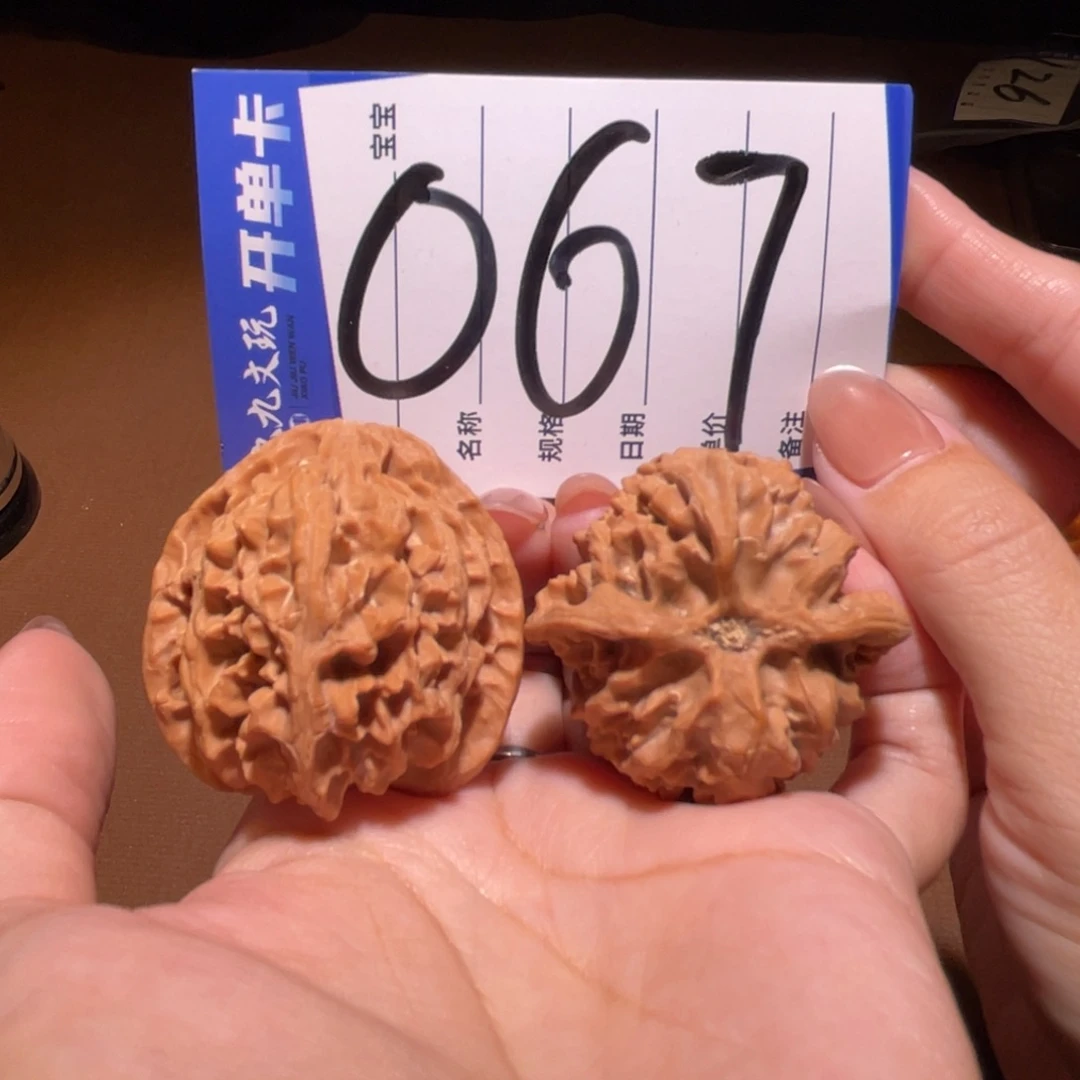把件文玩核桃41原桩十字金钱底苹果园
