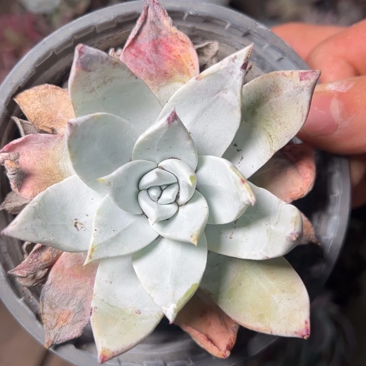 1953哈哈哈哈哈哈哈哈