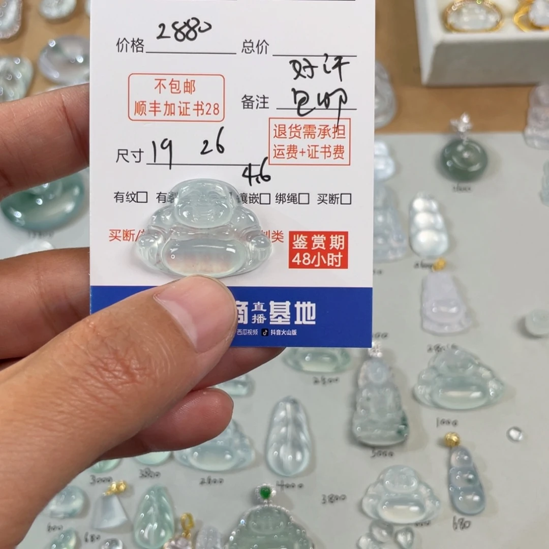 翡翠颈饰未镶嵌大****6