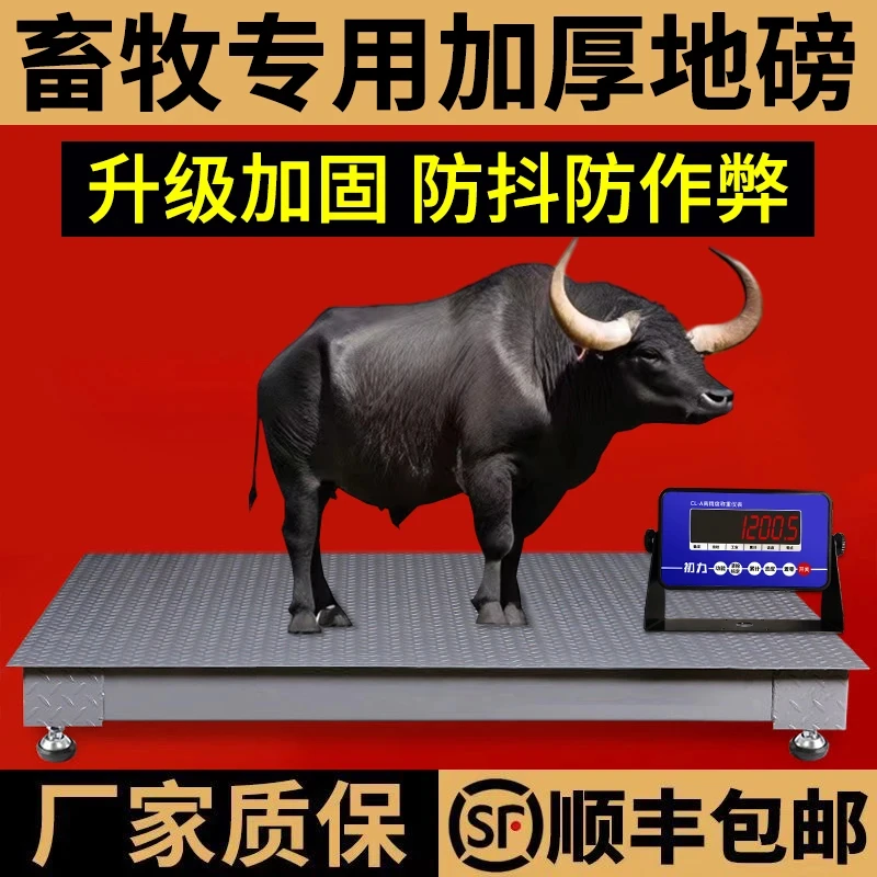 称牛专用地磅直播间推荐1.5*2米4mm无线链接