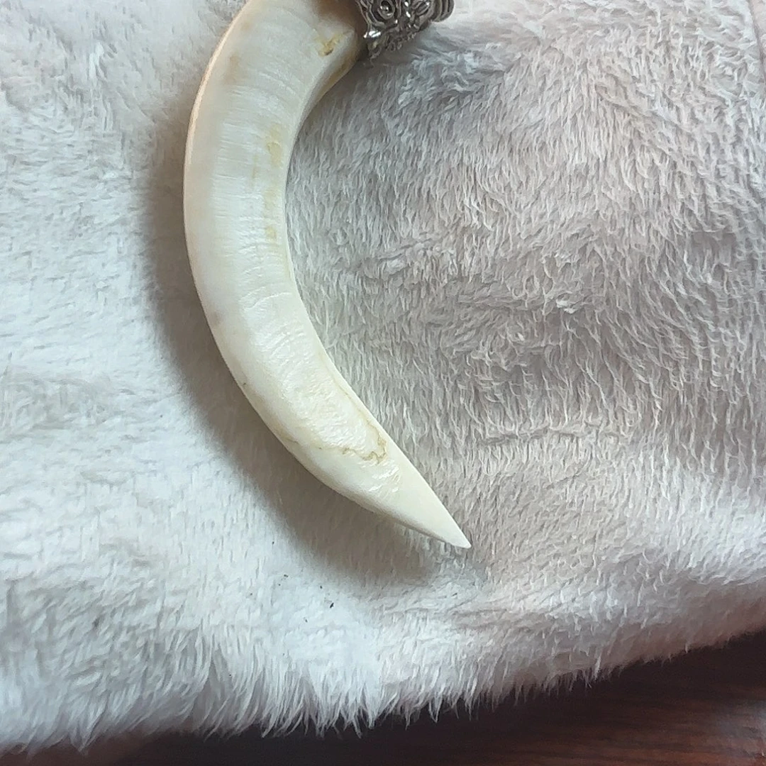 猪牙手串/手链猪牙