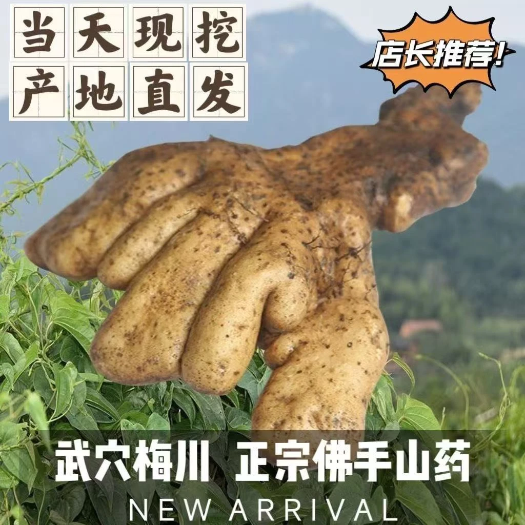 武穴佛手山药新鲜现挖鲜滑粉糯湖北特产百元梅川手掌