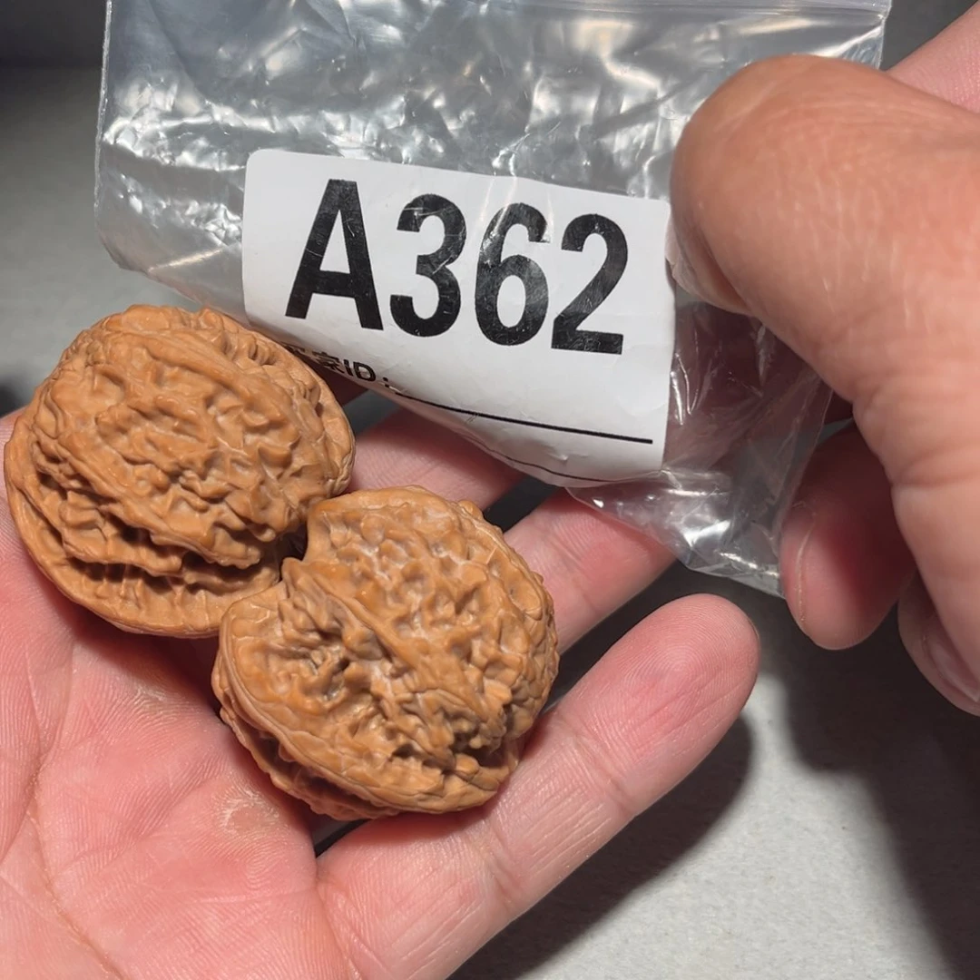 文玩核桃把件王***！11111111111