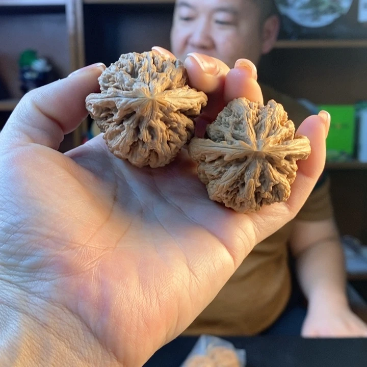 文玩核桃把件腊****哥粗筋