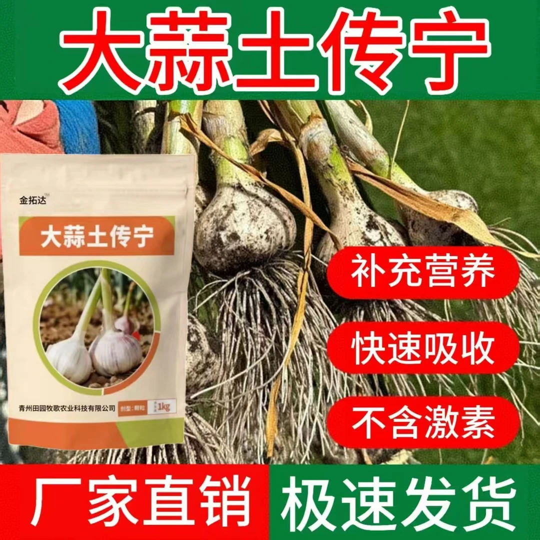 大蒜土传宁大蒜种植专用因生根壮苗艾调理土壤提质增产微生物肥