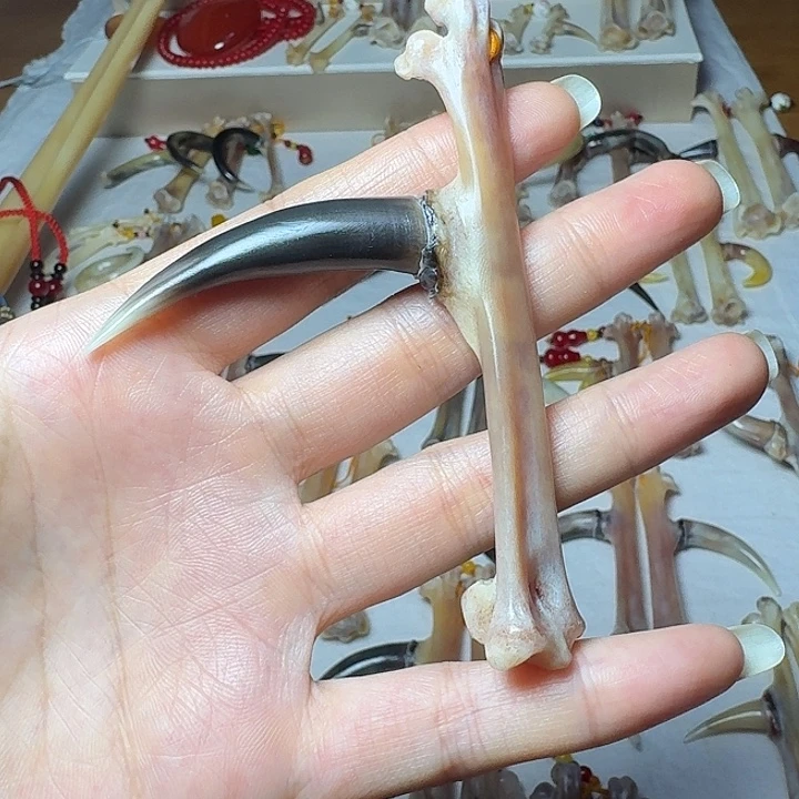 一***墨手串/手链鸡骨（鸡脚）鸡爪骨单只