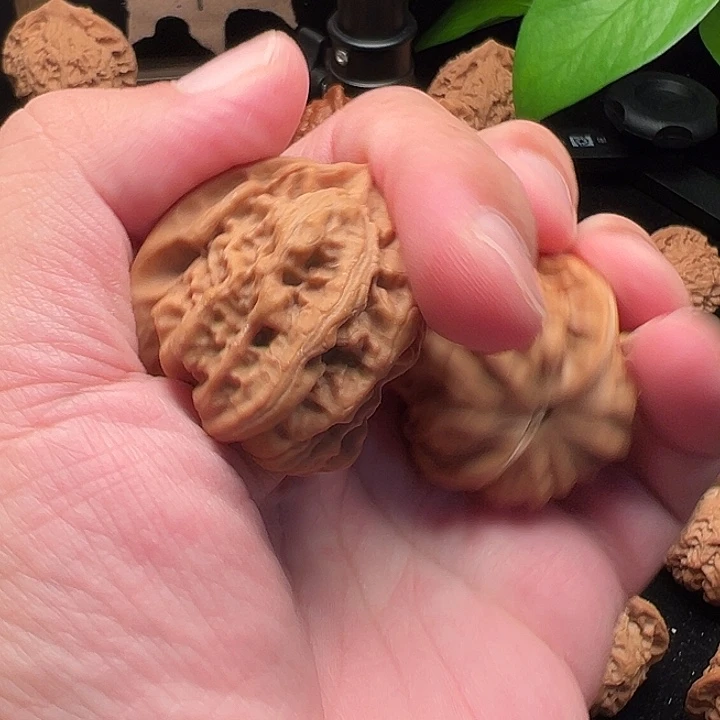 无***行把件文玩核桃高端野生小众